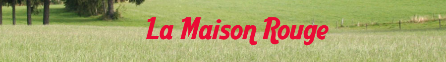 banni&egrave;re du site